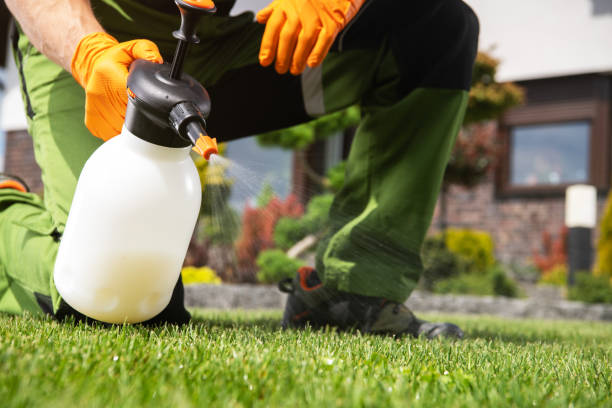 Professional Pest Control in Peach Springs, AZ