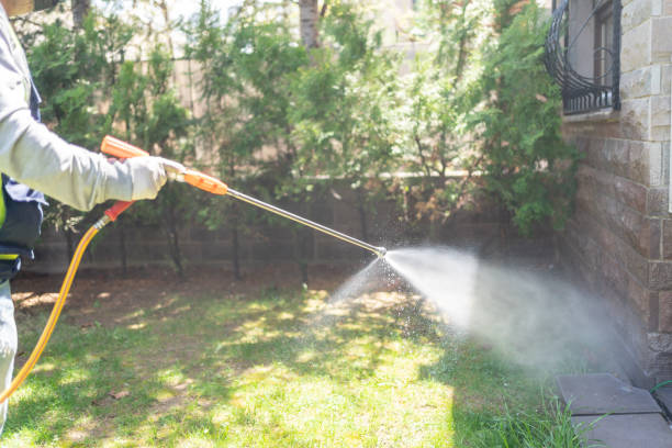 Best Mosquito Control Services  in Peach Springs, AZ