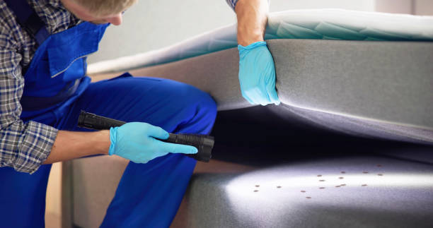 Best Pest Inspection Near Me  in Peach Springs, AZ