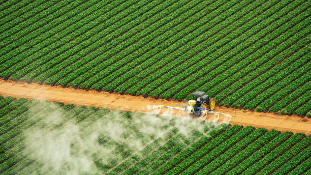 Best Best Pest Control Companies  in Peach Springs, AZ