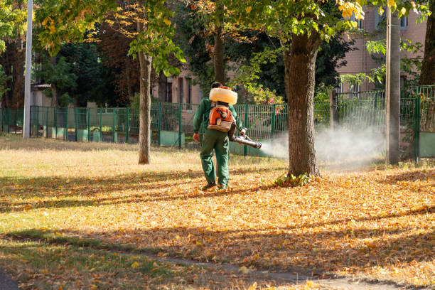 Pest Control for Restaurants in Peach Springs, AZ